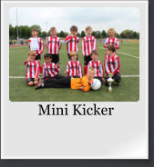 Mini Kicker